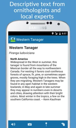 BirdsEye Bird Finding Guide screenshot 6