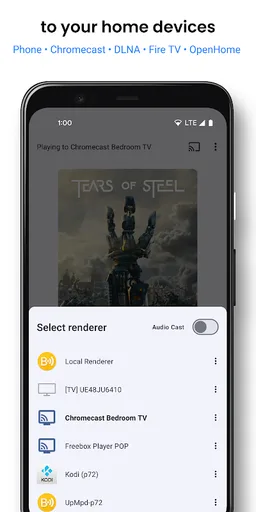 BubbleUPnP for DLNA/Chromecast screenshot 2