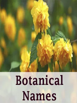 Botanical names - Offline screenshot 1