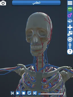 Anatomy 3D screenshot 6