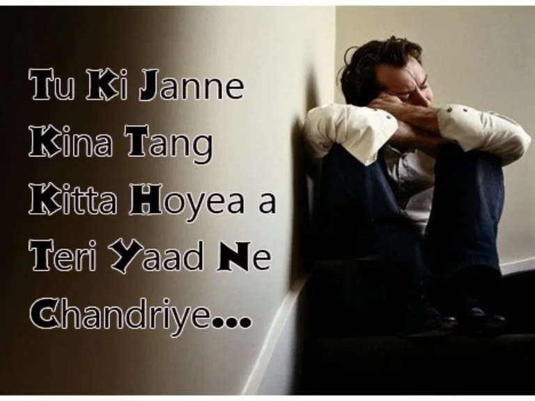 Punjabi Sad Status 2019 screenshot 2