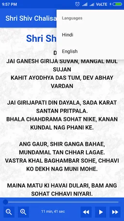 Shiv Chalisa Aarti Mantra With Audio screenshot 5