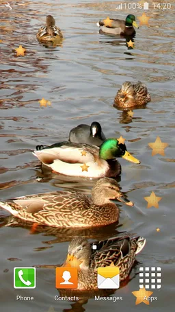 Great Ducks Live Wallpapers screenshot 3