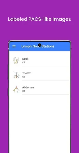 RadioAnatomy screenshot 5