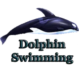 Dolphin Swimming icon