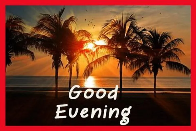 Good Evening Cards screenshot 4