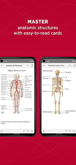 Anatomy & Physiology Made Easy screenshot 4