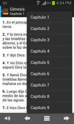 Santa Biblia Reina Valera screenshot 3