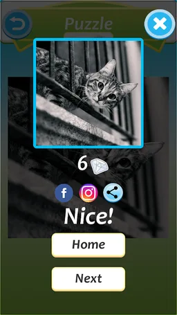 Cat Jigsaw Puzzle screenshot 8