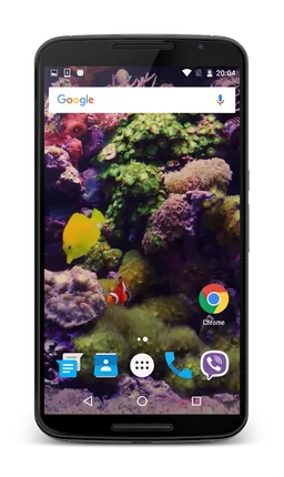 Tropical Fish Live Wallpaper screenshot 3
