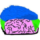 Gênio Quiz Felipe Neto icon