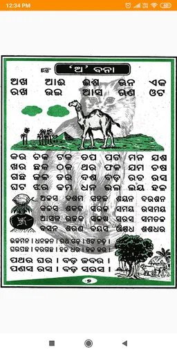 Odia Barnabodha Colorful |  ଓଡ଼ିଆ ବର୍ଣ୍ଣବୋଧ screenshot 17