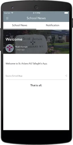 St. Aidans NS Tallaght screenshot 3