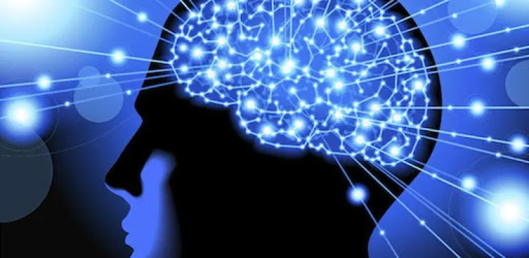 DÉVELOPPEMENT PERSONNEL cover image