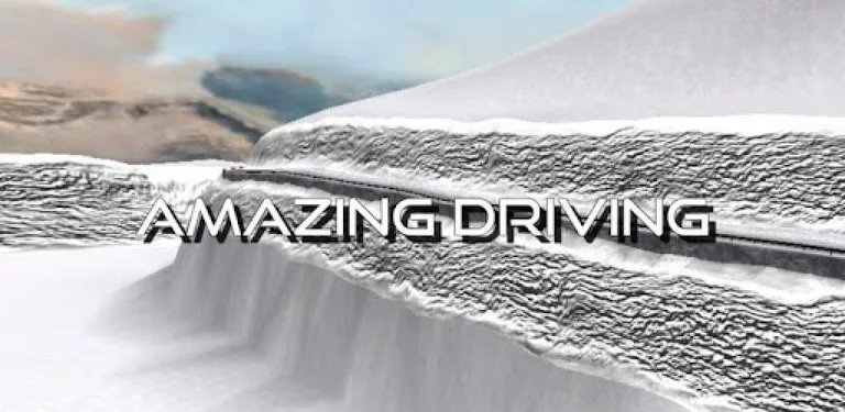 Polo Driving Simulator cover image