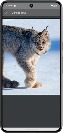 Decoy on fur animals screenshot 4