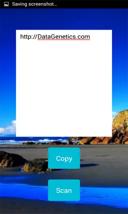 QR Scanner PRO screenshot 1