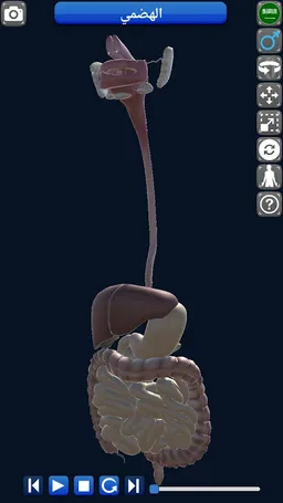 Anatomy 3D screenshot 13