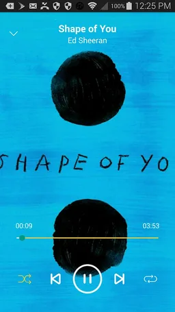 Sprint Music Plus screenshot 1