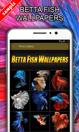 Betta Fish Wallpapers screenshot 1
