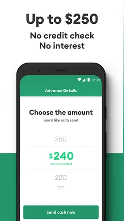 Brigit: Get $250. When Needed. screenshot 4