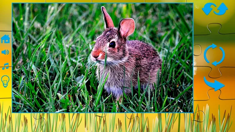 Puzzles for adults the nature screenshot 2