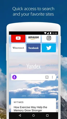 Yandex Browser (alpha) screenshot 13