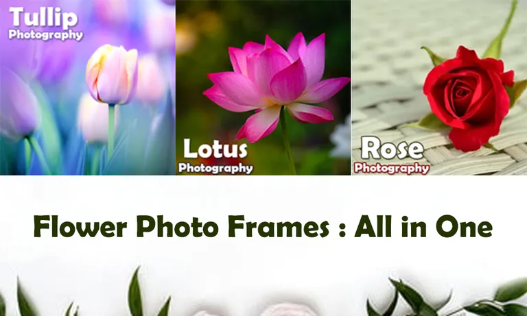 Home Interior Photo Frame : HD Photo Editor screenshot 11