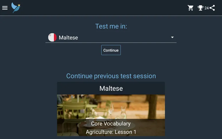 Maltese Language Tests screenshot 14