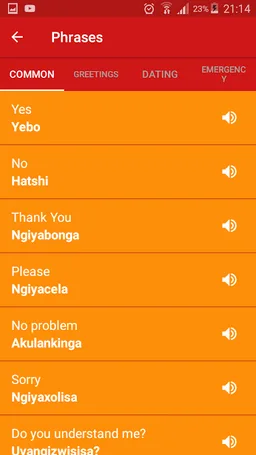 Learn Ndebele screenshot 4
