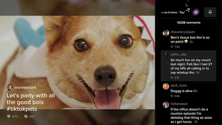 TikTok for Android TV screenshot 4