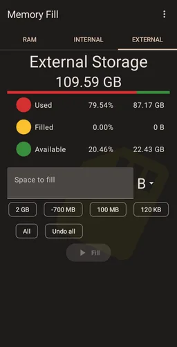 Memory Fill screenshot 3
