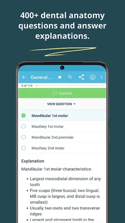 Dental Anatomy Mastery screenshot 3