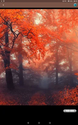 Autumn wallpapers collections screenshot 7