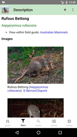 Australian Mammals screenshot 15