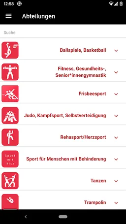 DJK Wiking Köln screenshot 3
