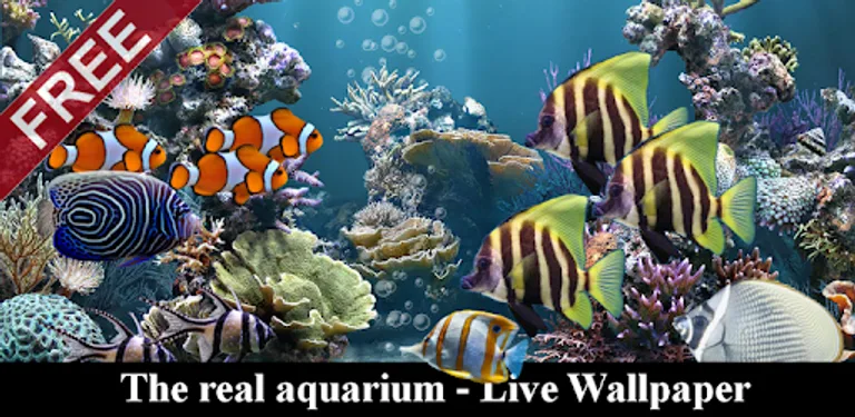 The real aquarium - Live Wallpaper cover image