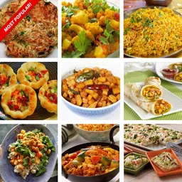 Delicious Indian Vegetarian Re icon