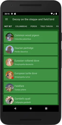 Decoy on the field bird screenshot 4
