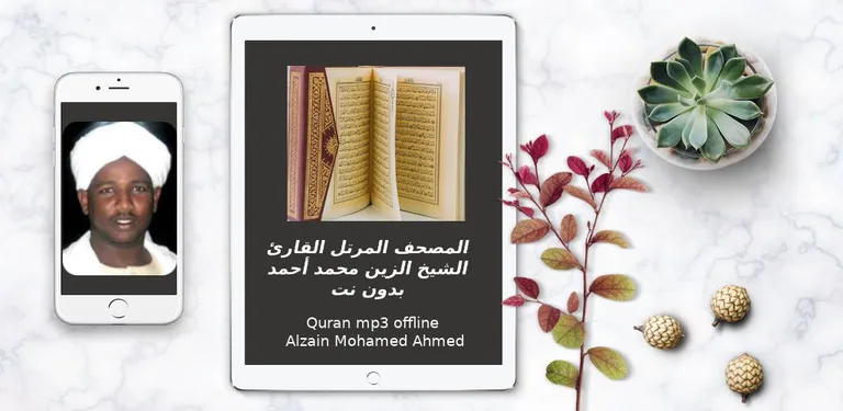 Alzain mohamed ahmed Quran mp3 cover image