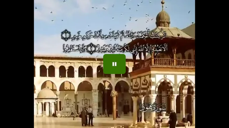 Noble TV screenshot 5