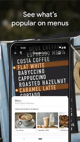 Google Lens screenshot 7
