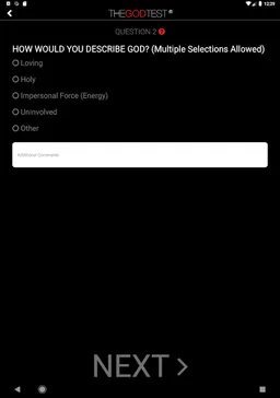 The God Test screenshot 3