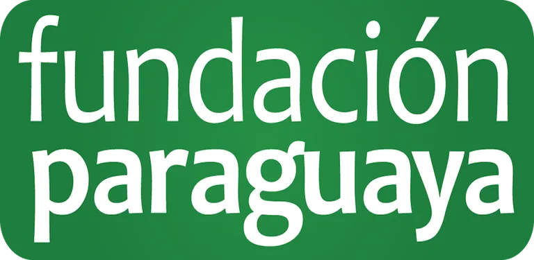 Héroes Fundación Paraguaya cover image