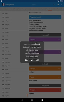 Conjugaison française screenshot 14