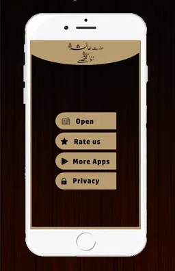 Hazrat Ayesha 100 Qisay screenshot 1