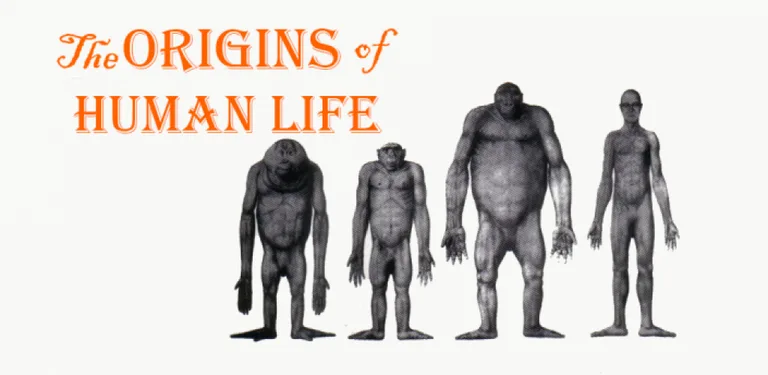 The Origins of Human Life cover image