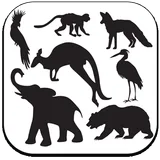 Animals Sounds icon