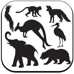 Animals Sounds icon