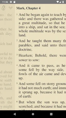 Bible: KJV, BBE, ASV, WEB, LSG screenshot 4